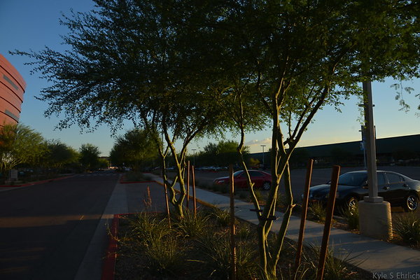 DSC 5556
