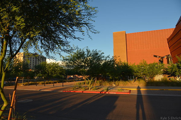 DSC 5548