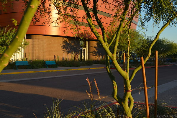 DSC 5552