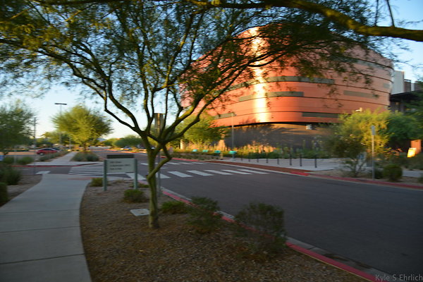 DSC 5536