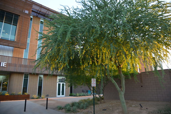 DSC 5670
