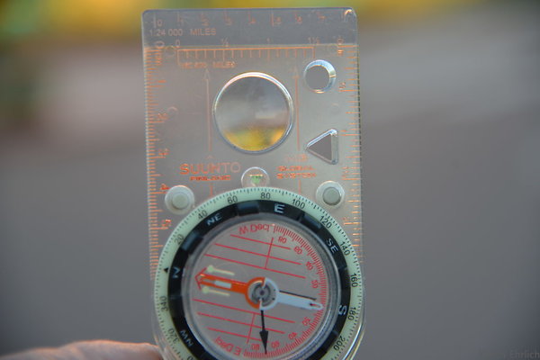 DSC 5519