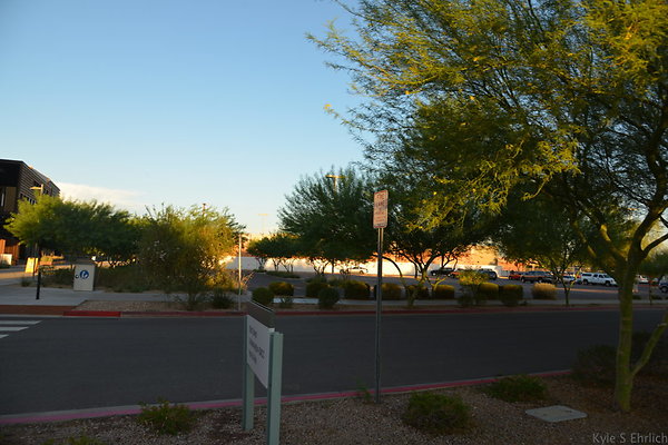 DSC 5531