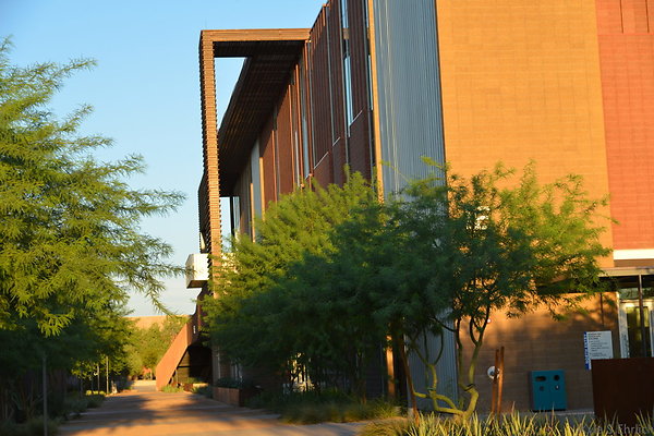 DSC 5559