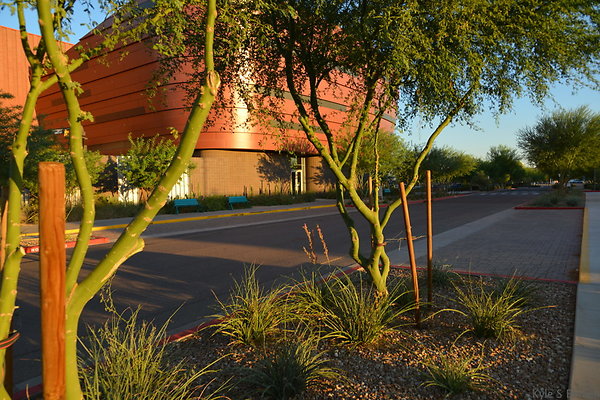 DSC 5551