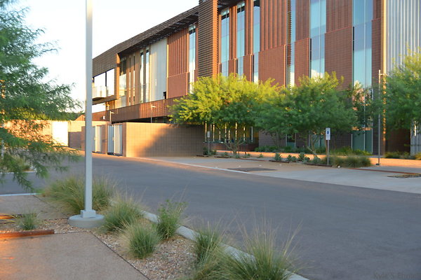DSC 5624