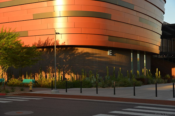 DSC 5528