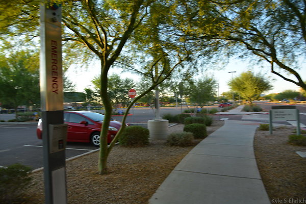 DSC 5535