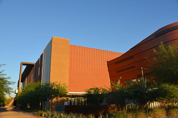 DSC 5561