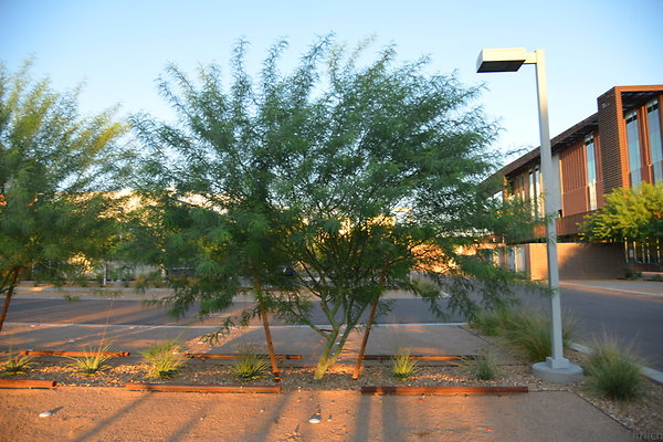 DSC 5626