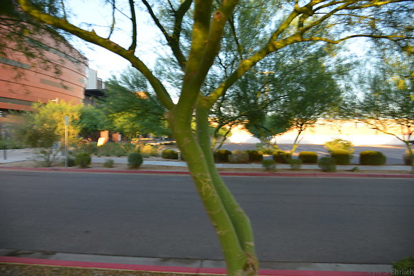 DSC 5537