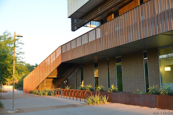 DSC 5661