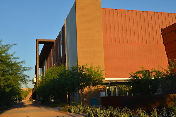 DSC 5558
