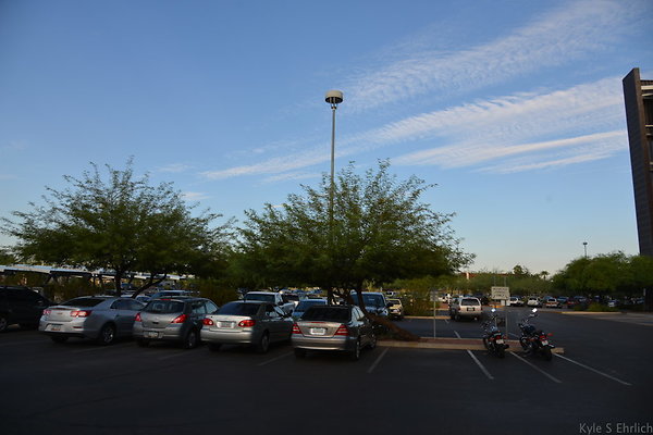 DSC 3555