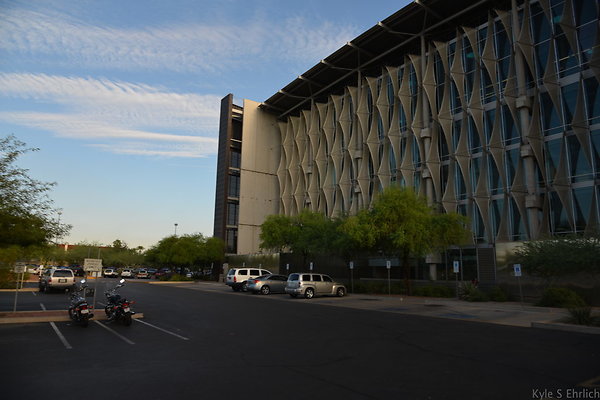 DSC 3556