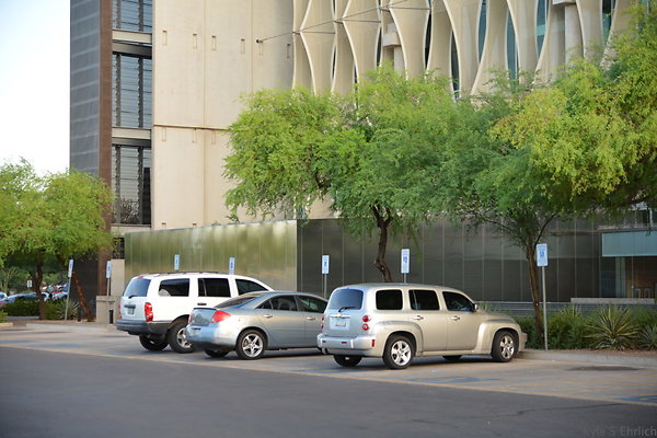 DSC 3554