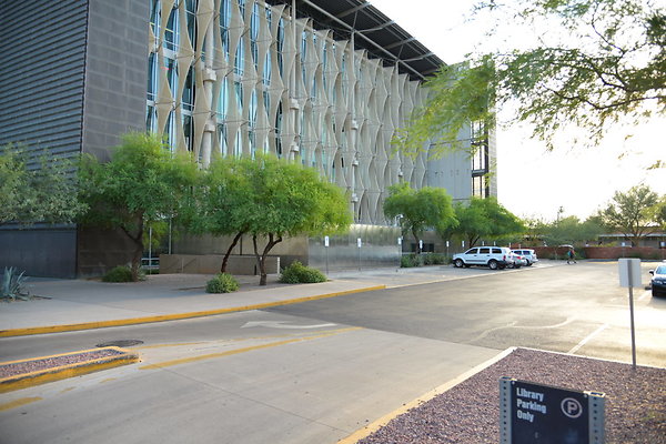 DSC 3539
