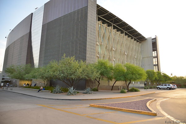 DSC 3528