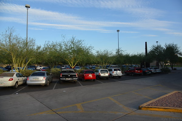 DSC 3537