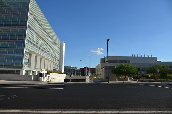 DSC 6958