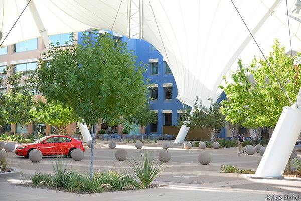DSC 1275