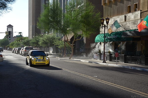 DSC 9598