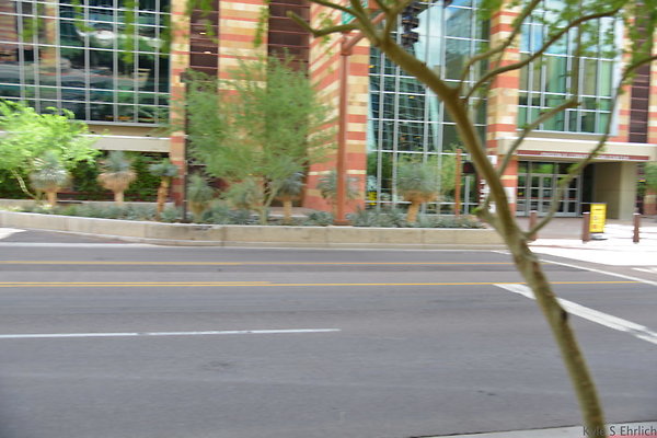 DSC 1604