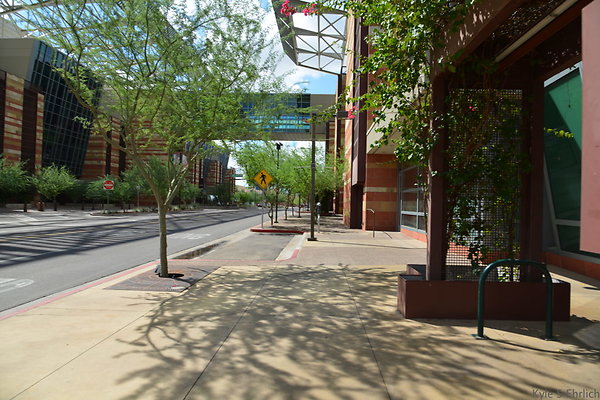 DSC 1542