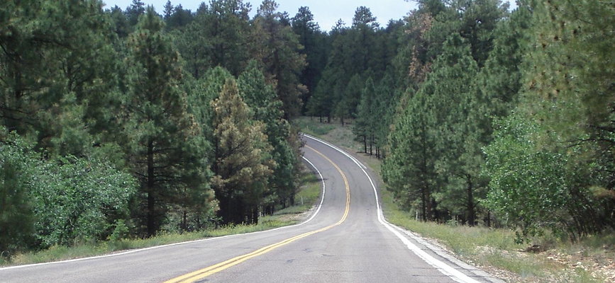 DSC 1151