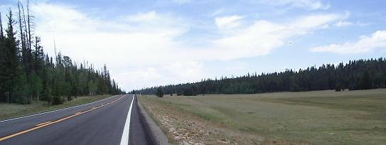 DSC 1137