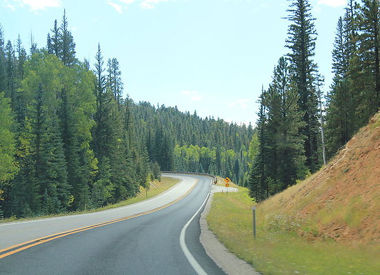 DSC 1080