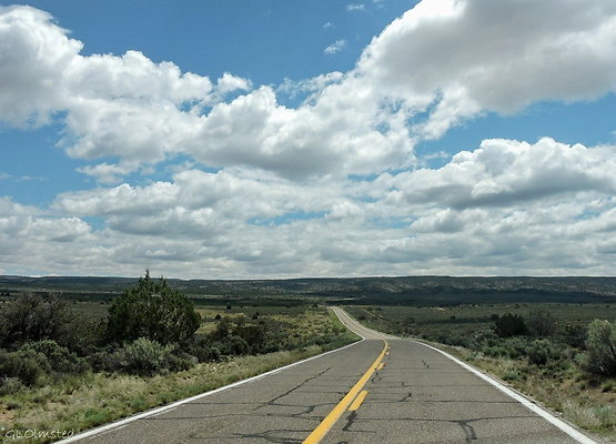 DSC 1120