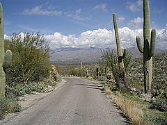 DSC 0005