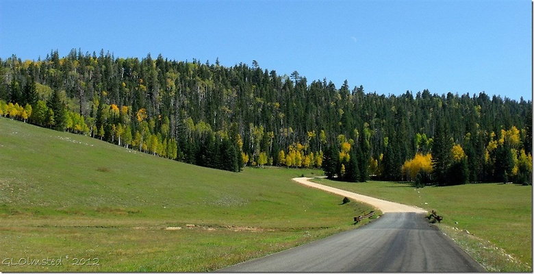 DSC 1144