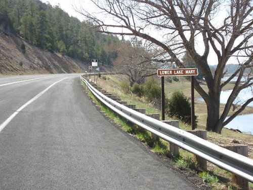 DSC 1124