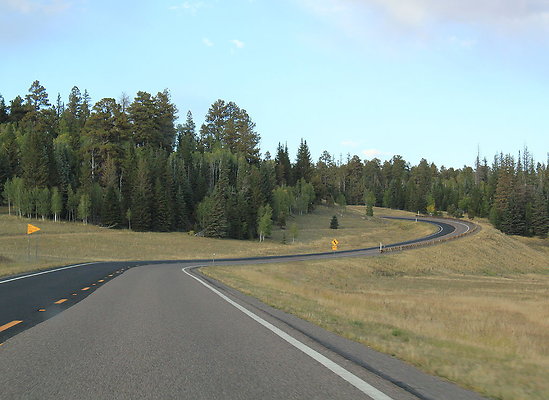 DSC 1095