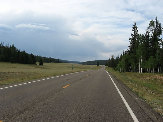 DSC 1147