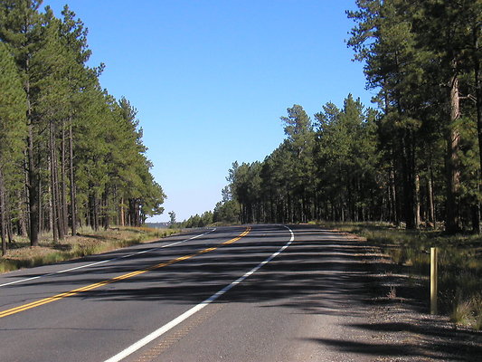 DSC 1053