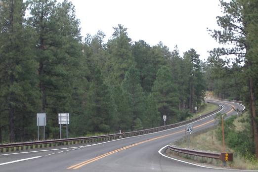 DSC 1135