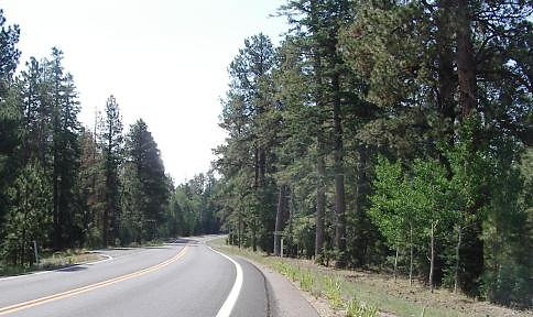 DSC 1140