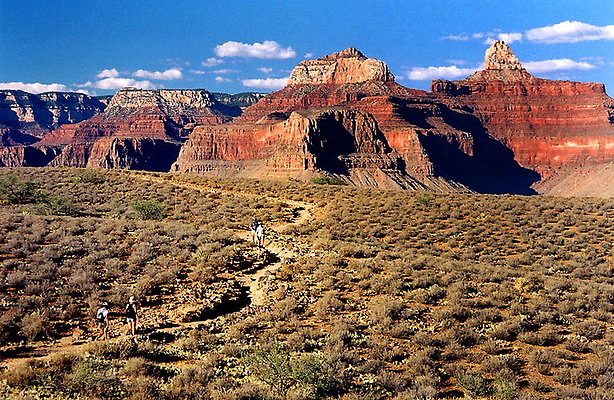 DSC 4087