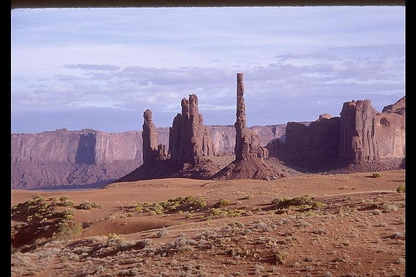 DSC 4147