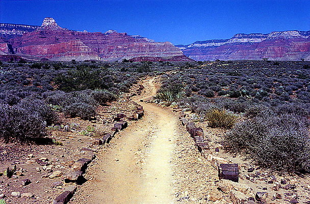 DSC 4080