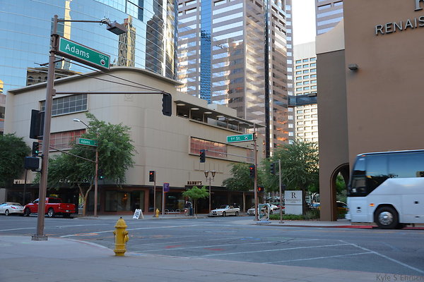 DSC 9508