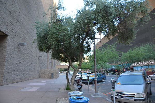 DSC 9469